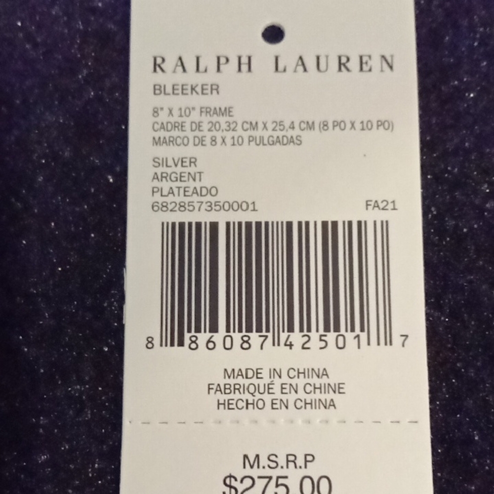 Ralph Lauren Silver Bleeker Frame